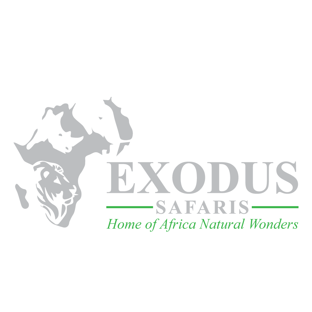 Africa Safaris
