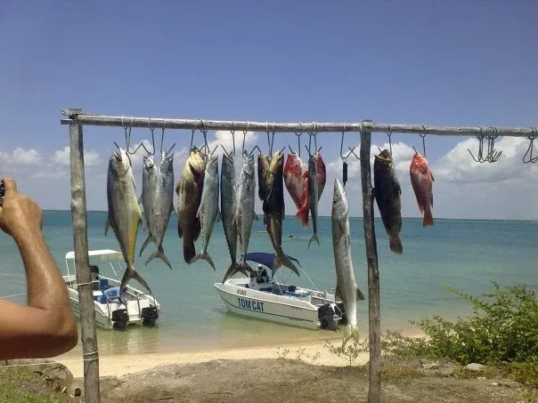 Fishing Mozambique