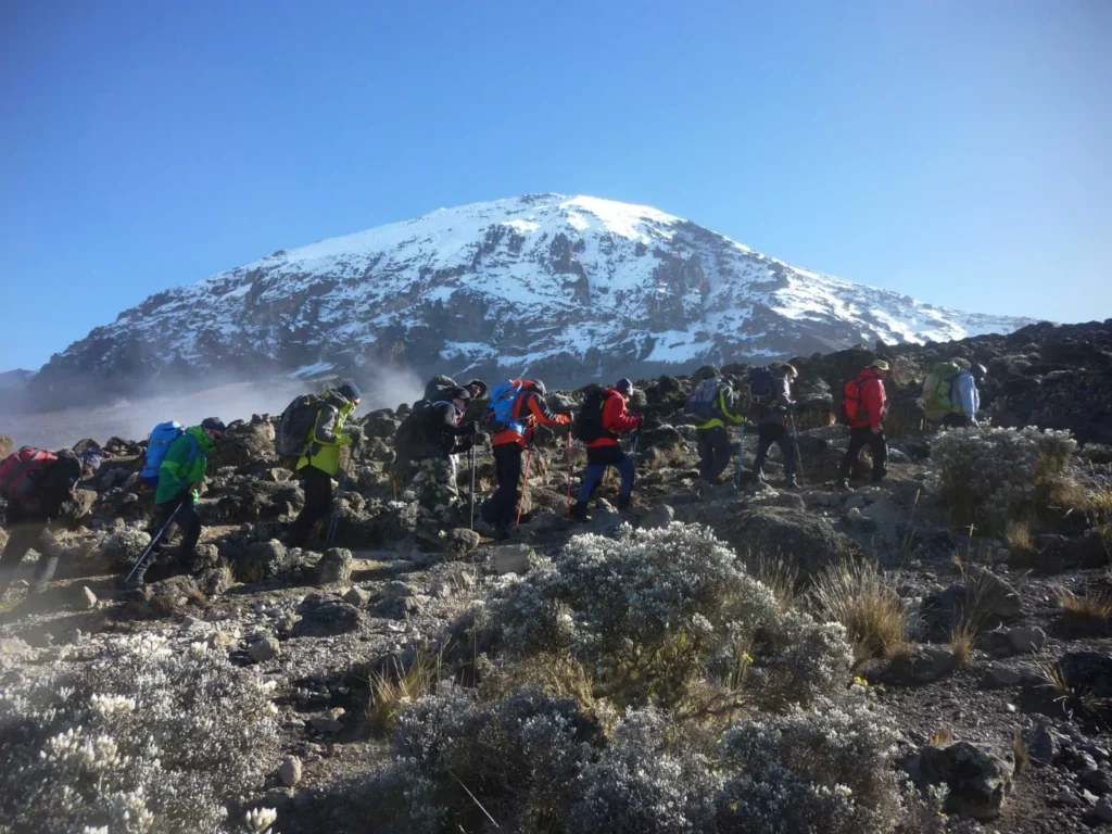 Hike up Mount Kilimanjaro
