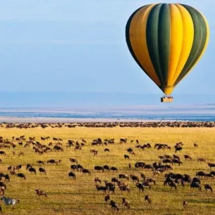 Serengeti Luxury Safari Packages With Prices & Reviews
