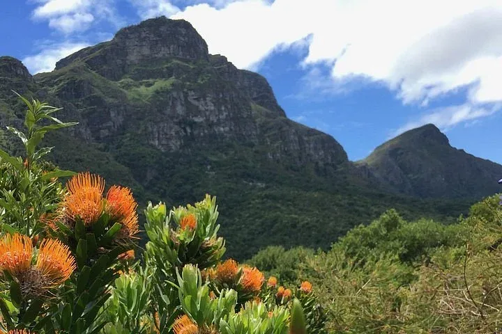 Kirstenbosch National Botanical Garden Cape Town
