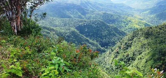 Mfule River Gorge Nature Reserve