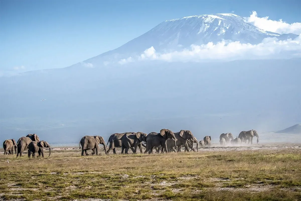 Mount-Kenya-national-park