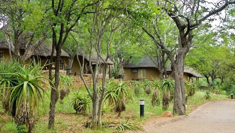 Olifants Rest Camp