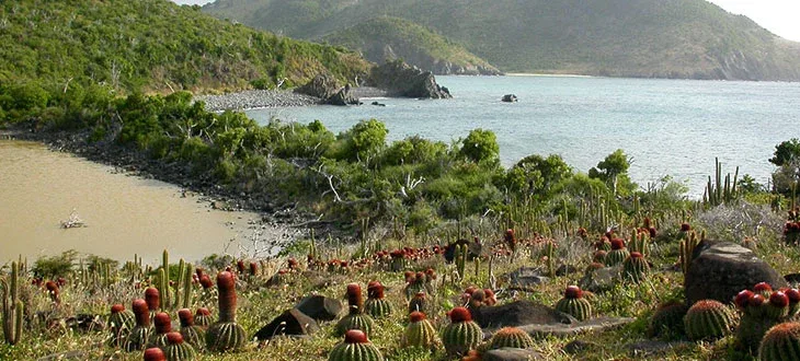 Sint Maarten Nature Reserve