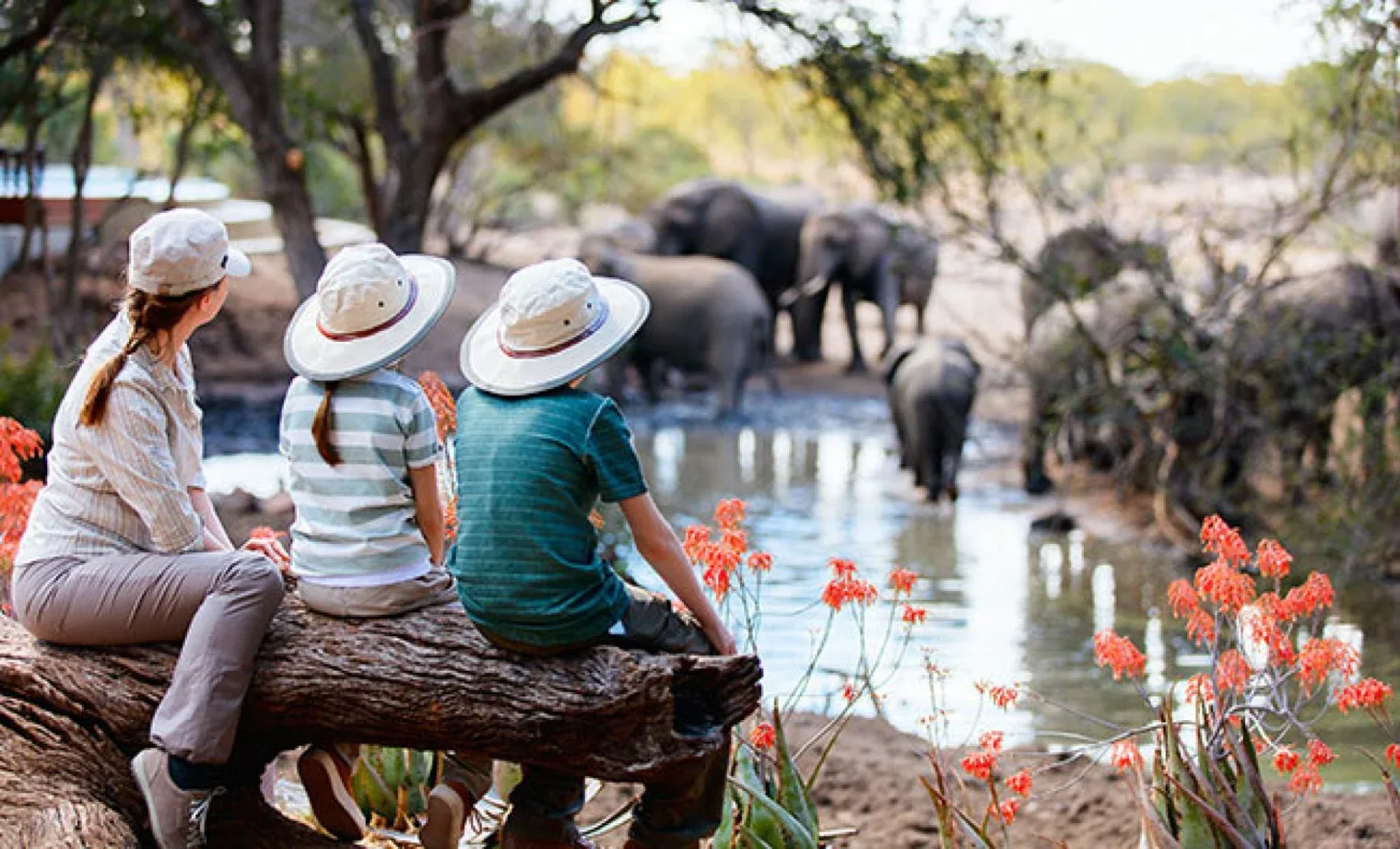Tanzania Family Safaris & Tours