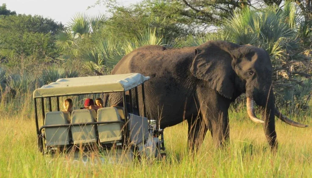 Tembe Elephant Park