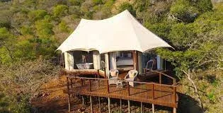 Thanda Game Reserve