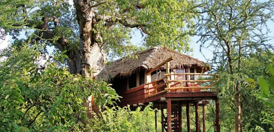 Treetops-Treehouses-Tarangire-River-Camp-Manyara-Region-1