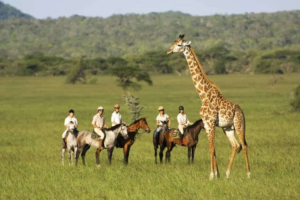 African Horse Safaris