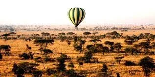 Africa's Best Safari Country