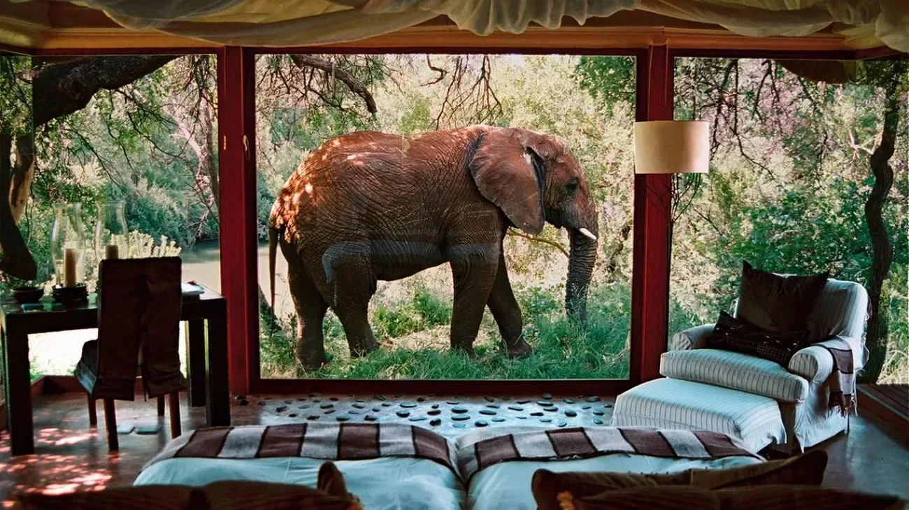 Best Safari Lodges and Camps in South Africa