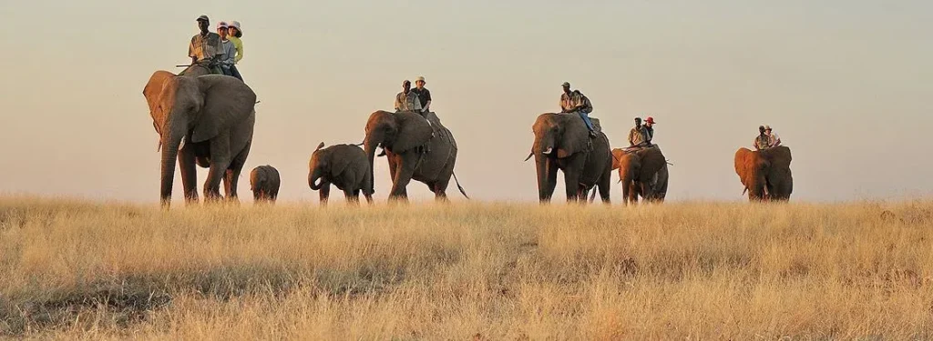 Elephant Back Safaris