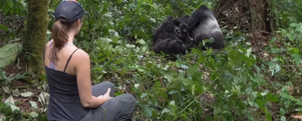 How to Book a Gorilla Permit in Uganda