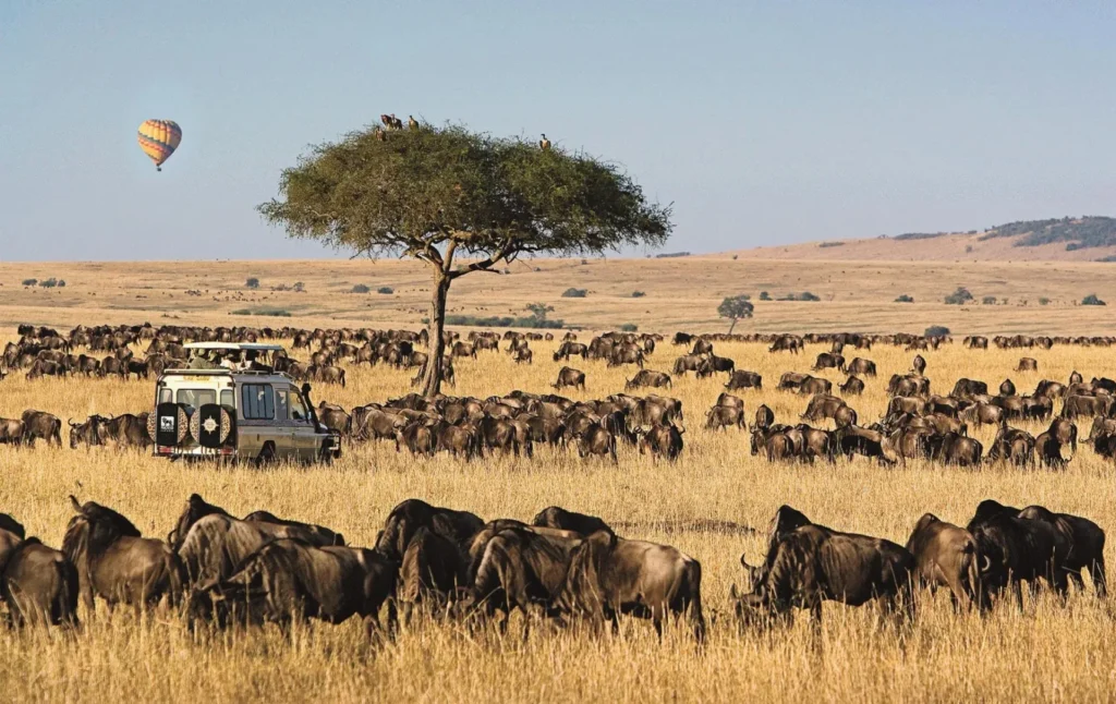 Masai Mara Honeymoon Safari Destination