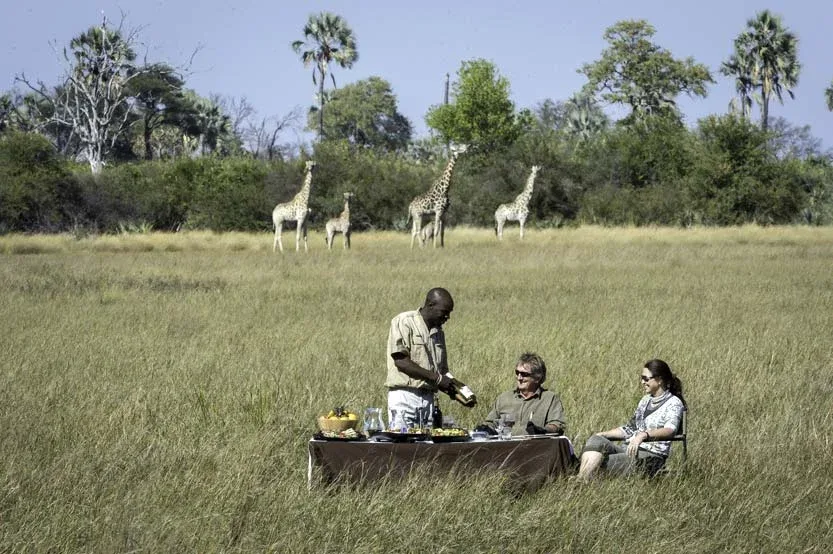 Safari Guides Understand Location and movement are essential.