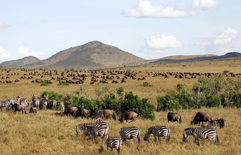 Tourist Attractions in Tanzania