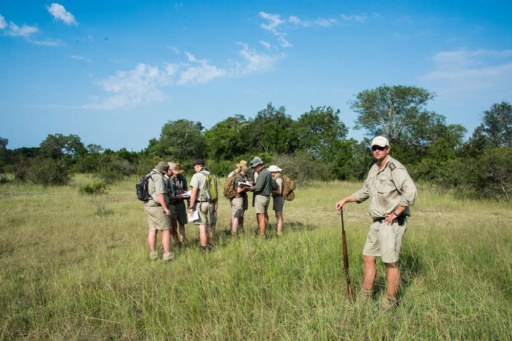 What Makes Great Safari Guides