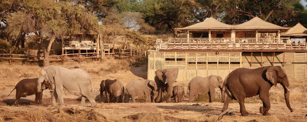 belmond savute elephant lodge botswana
