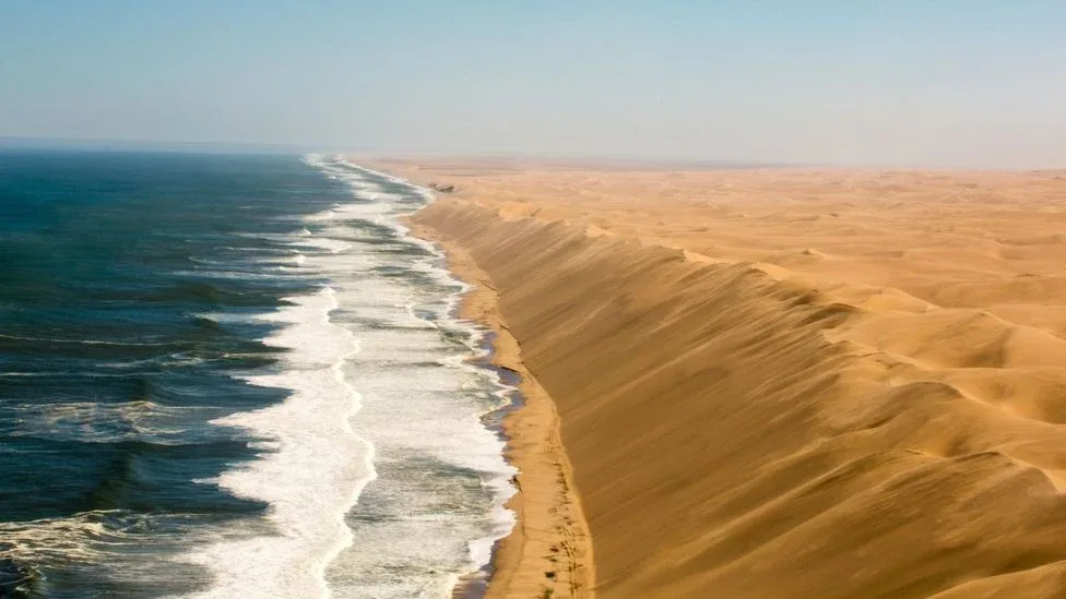 coastal namib desert