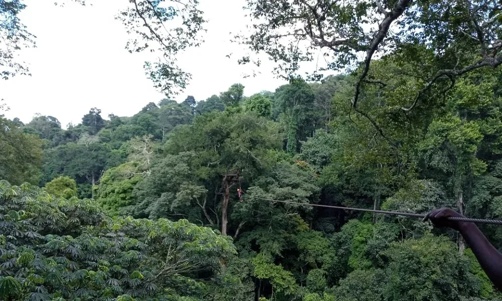 mabira central forest reserve Uganda