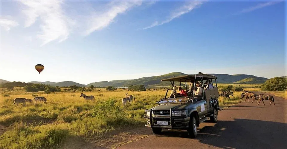 pilanesberg game reserve safaris