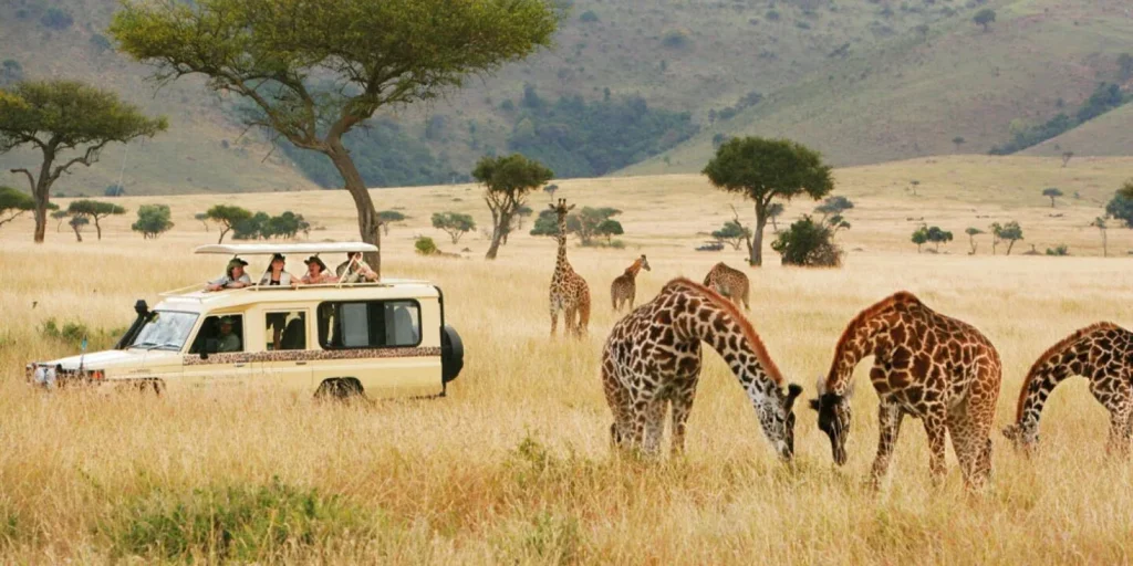 south africa winter safaris wont be crowded