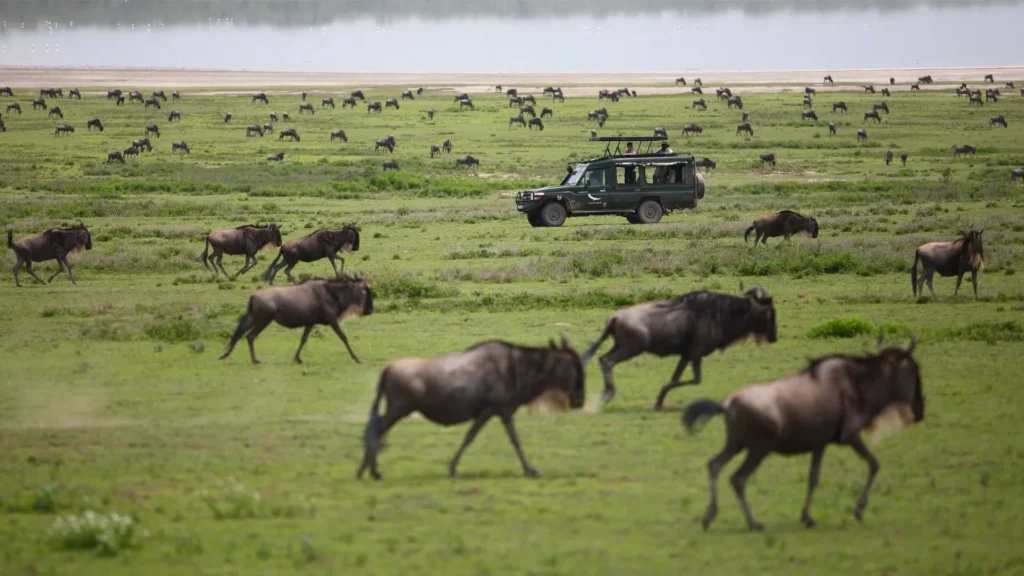 the masai mara national reserve safari packages