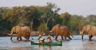 African Canoe Safari