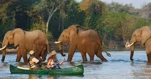 African Canoe Safaris