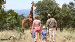 African Family Holiday Safaris