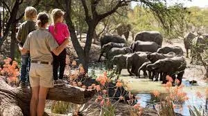 Africa Family Safaris & Holiday Packages With Prices