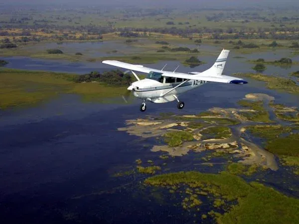 African Fly in Safaris Botswana