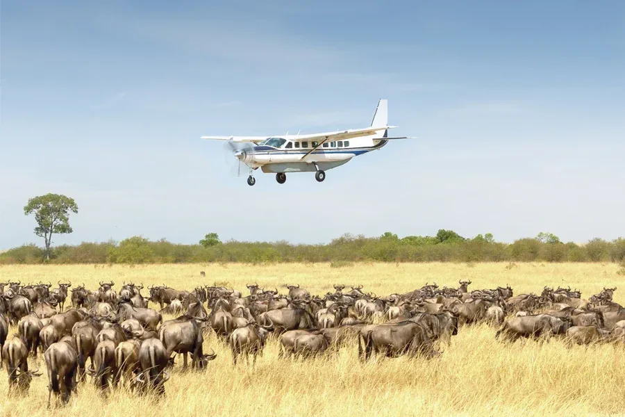 African Fly-in Safaris