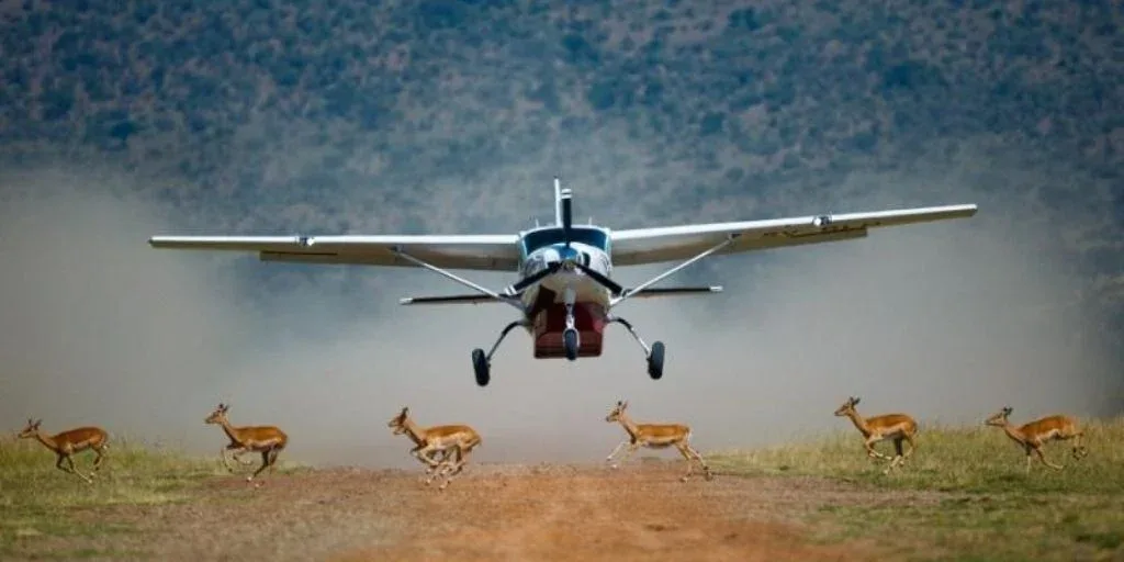 African Fly-in Safaris Tour