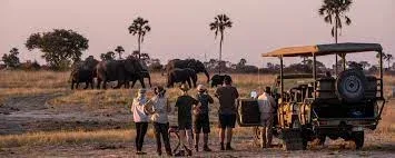 African Group Safari