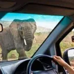 African Self-Drive Safaris