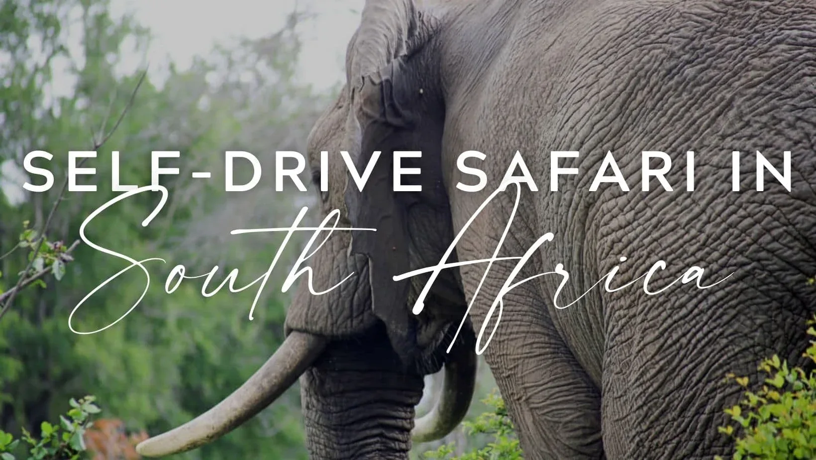 African Self-Drive Safaris In