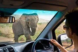 Africa Self-Drive Safaris & Holiday Packages With Prices