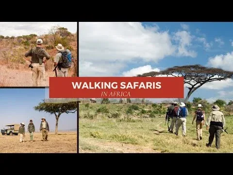 Africa Walking Safaris & Holiday Packages With Prices