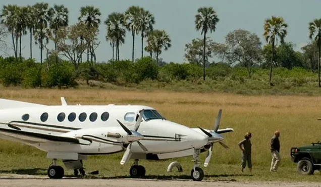 Africa Fly-in Safaris & Holiday Packages With Prices
