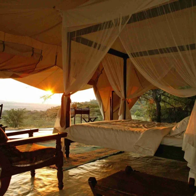 Kenya Budget Safaris Tour Packages With Prices & Reviews