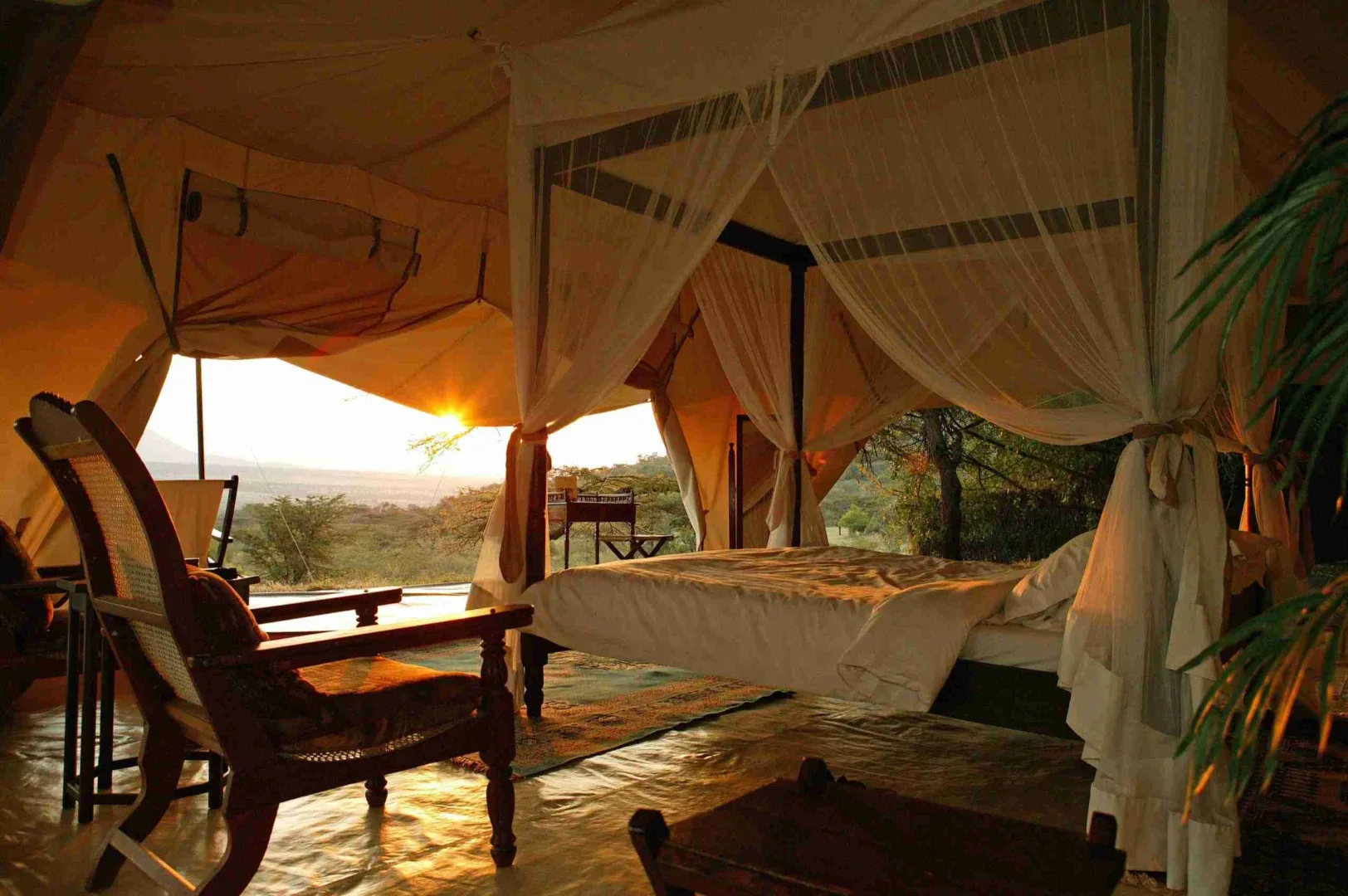 Kenya Budget Safari Camping Tours