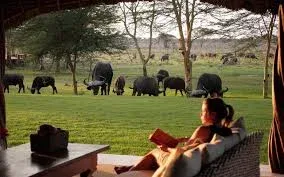 Private African Safaris Package
