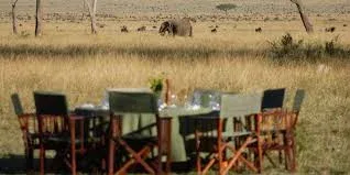 Private Africa Safaris Tour Packages Made For You