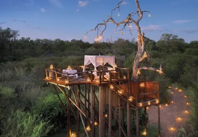 Safari Honeymoon in South Africa