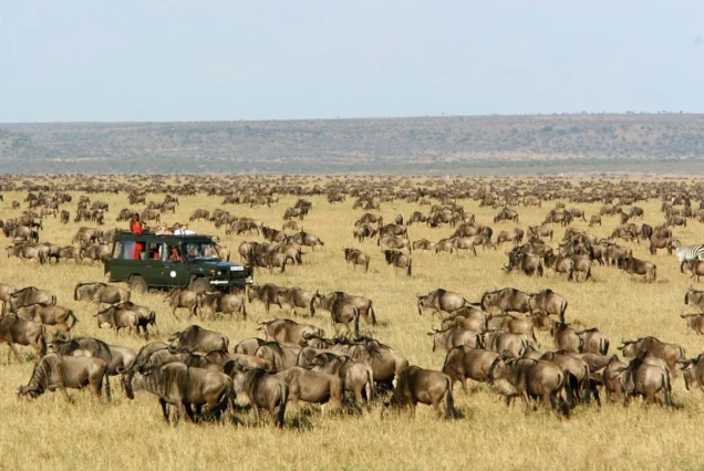 masai mara luxury safari