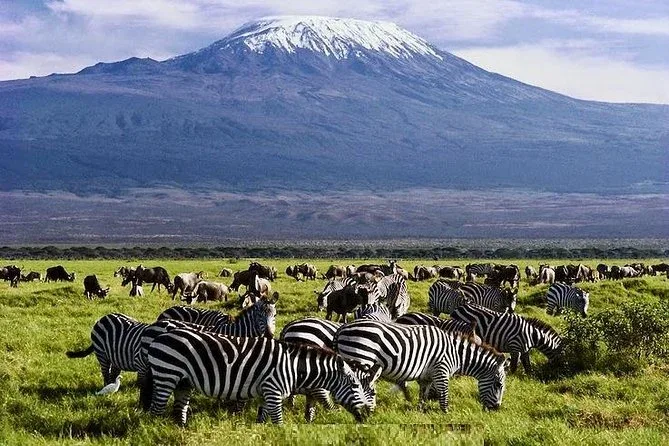 Amboseli Luxury Safaris Kenya