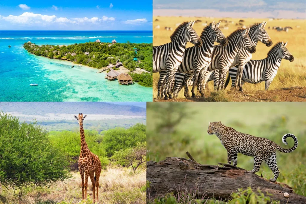 Kenya Safari Tours Diani