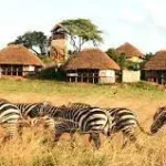 Kidepo Valley Safari Tours